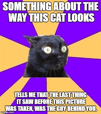 The Truth | SOMETHING ABOUT THE WAY THIS CAT LOOKS; TELLS ME THAT THE LAST THING IT SAW BEFORE THIS PICTURE WAS TAKEN, WAS THE GUY BEHIND YOU. | image tagged in anxiety cat,behind you,cat,scary | made w/ Imgflip meme maker