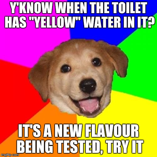 Advice Dog | Y'KNOW WHEN THE TOILET HAS "YELLOW" WATER IN IT? IT'S A NEW FLAVOUR BEING TESTED, TRY IT | image tagged in memes,advice dog | made w/ Imgflip meme maker