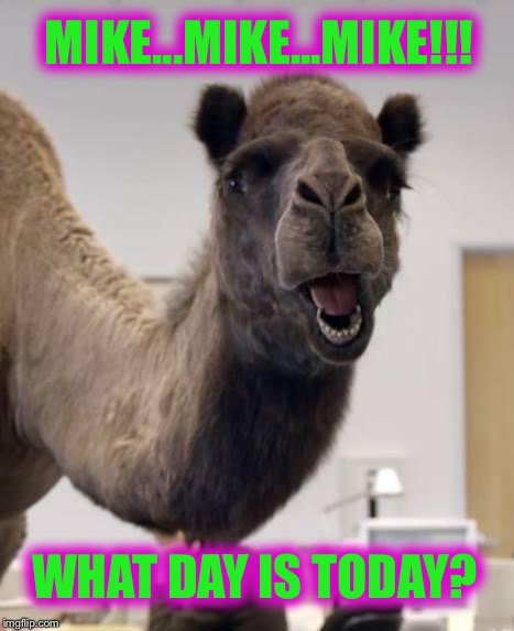 Mid-Week Greetings to All Imgflippers  :) | MIKE...MIKE...MIKE!!! WHAT DAY IS TODAY? | image tagged in camel,hump day,memes,funny | made w/ Imgflip meme maker