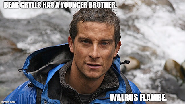 Better Drink My Own Piss. | BEAR GRYLLS HAS A YOUNGER BROTHER. WALRUS FLAMBE. | image tagged in bear grylls,brother | made w/ Imgflip meme maker