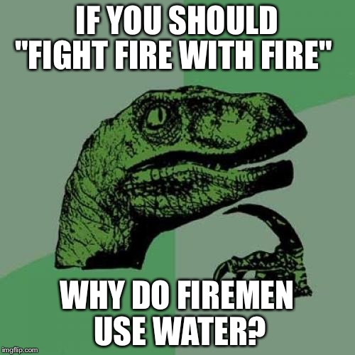 Philosoraptor | IF YOU SHOULD; "FIGHT FIRE WITH FIRE"; WHY DO FIREMEN USE WATER? | image tagged in memes,philosoraptor,fire,fireman,girl house on fire,fire fart | made w/ Imgflip meme maker