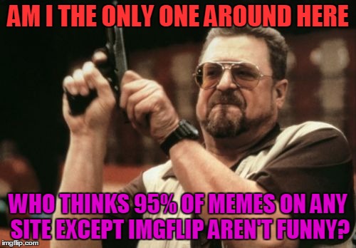 Other Meme Websites, Y U NO FUNNY? | AM I THE ONLY ONE AROUND HERE; WHO THINKS 95% OF MEMES ON ANY SITE EXCEPT IMGFLIP AREN'T FUNNY? | image tagged in memes,am i the only one around here,funny,website,not funny,y u no | made w/ Imgflip meme maker