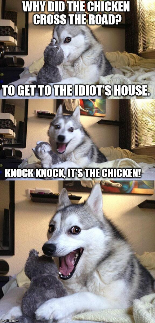 Bad Pun Dog | WHY DID THE CHICKEN CROSS THE ROAD? TO GET TO THE IDIOT'S HOUSE. KNOCK KNOCK, IT'S THE CHICKEN! | image tagged in memes,bad pun dog | made w/ Imgflip meme maker