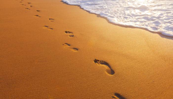 footprints in the sand Blank Meme Template