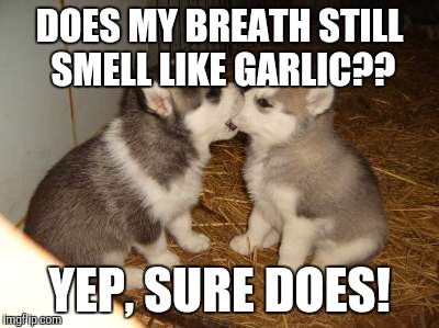 Cute Puppies | DOES MY BREATH STILL SMELL LIKE GARLIC?? YEP, SURE DOES! | image tagged in memes,cute puppies | made w/ Imgflip meme maker