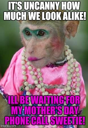 Monkey make up | IT'S UNCANNY HOW MUCH WE LOOK ALIKE! ILL BE WAITING FOR MY MOTHER'S DAY PHONE CALL SWEETIE! | image tagged in monkey make up | made w/ Imgflip meme maker
