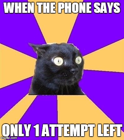anxiety cat | WHEN THE PHONE SAYS; ONLY 1 ATTEMPT LEFT | image tagged in anxiety cat | made w/ Imgflip meme maker