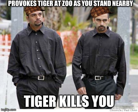 PROVOKES TIGER AT ZOO AS YOU STAND NEARBY TIGER KILLS YOU | made w/ Imgflip meme maker