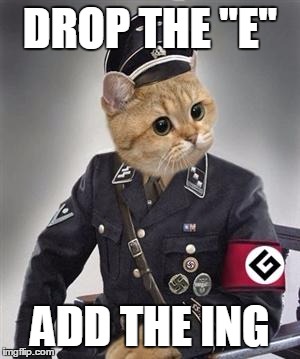 grammar nazi cat | DROP THE "E" ADD THE ING | image tagged in grammar nazi cat | made w/ Imgflip meme maker
