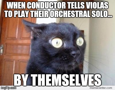 Violas on their own in orchestra | WHEN CONDUCTOR TELLS VIOLAS TO PLAY THEIR ORCHESTRAL SOLO... BY THEMSELVES | image tagged in scared cat,violas,orchestra,music,viola,thatbritishviolaguy | made w/ Imgflip meme maker