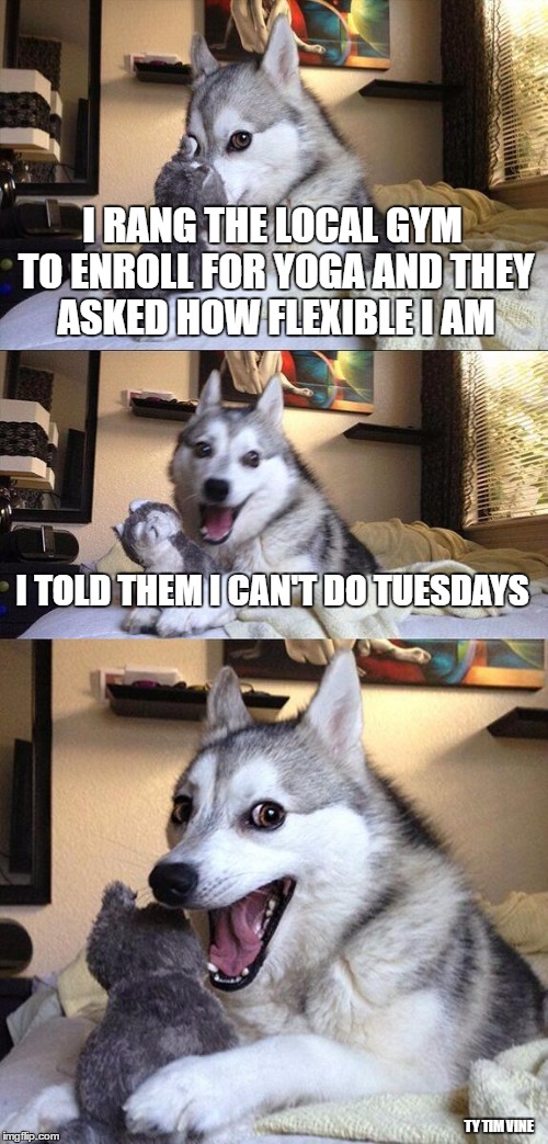 Bad Pun Dog Meme | I RANG THE LOCAL GYM TO ENROLL FOR YOGA AND THEY ASKED HOW FLEXIBLE I AM; I TOLD THEM I CAN'T DO TUESDAYS; TY TIM VINE | image tagged in memes,bad pun dog | made w/ Imgflip meme maker