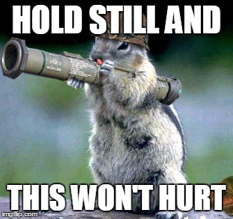 Bazooka Squirrel | HOLD STILL AND; THIS WON'T HURT | image tagged in memes,bazooka squirrel | made w/ Imgflip meme maker