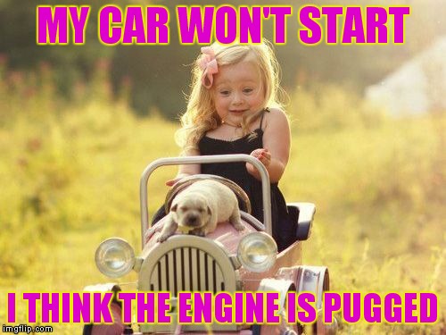 All you can really say is awwww ;) | MY CAR WON'T START; I THINK THE ENGINE IS PUGGED | image tagged in kids,pugs,aww | made w/ Imgflip meme maker
