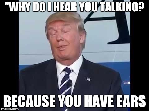 Trump Duh | "WHY DO I HEAR YOU TALKING? BECAUSE YOU HAVE EARS | image tagged in trump duh | made w/ Imgflip meme maker
