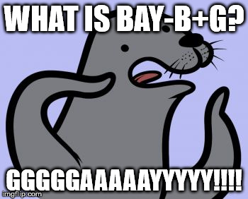 Homophobic Seal | WHAT IS BAY-B+G? GGGGGAAAAAYYYYY!!!! | image tagged in memes,homophobic seal | made w/ Imgflip meme maker