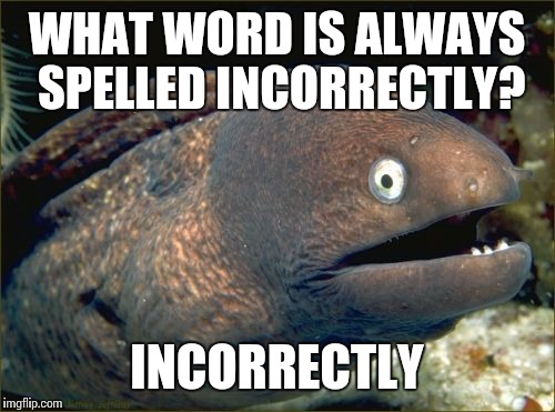 Bad Joke Eel | WHAT WORD IS ALWAYS SPELLED INCORRECTLY? INCORRECTLY | image tagged in memes,bad joke eel | made w/ Imgflip meme maker