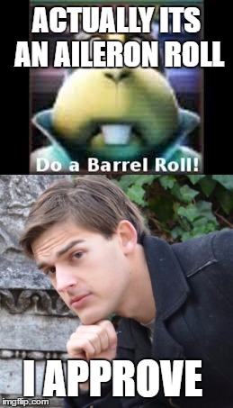 Know the difference. | ACTUALLY ITS AN AILERON ROLL; I APPROVE | image tagged in matpat,memes,other | made w/ Imgflip meme maker