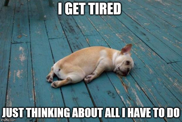 The struggle is real | I GET TIRED; JUST THINKING ABOUT ALL I HAVE TO DO | image tagged in sleepy dog | made w/ Imgflip meme maker