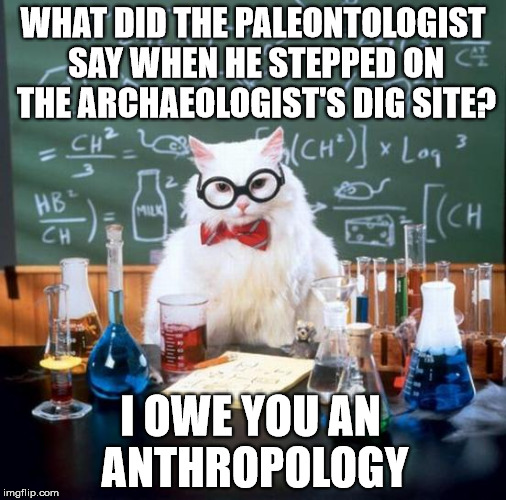 Chemistry Cat | WHAT DID THE PALEONTOLOGIST SAY WHEN HE STEPPED ON THE ARCHAEOLOGIST'S DIG SITE? I OWE YOU AN ANTHROPOLOGY | image tagged in memes,chemistry cat | made w/ Imgflip meme maker