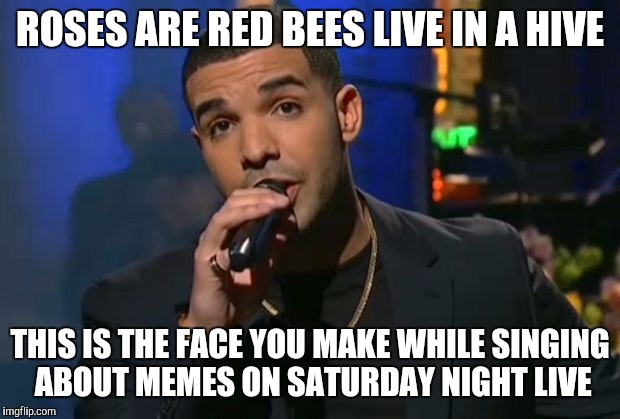 Drake meme | ROSES ARE RED BEES LIVE IN A HIVE; THIS IS THE FACE YOU MAKE WHILE SINGING ABOUT MEMES ON SATURDAY NIGHT LIVE | image tagged in drake meme | made w/ Imgflip meme maker