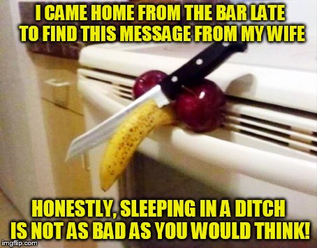 Learning how to rough it. For all the right reasons! | I CAME HOME FROM THE BAR LATE TO FIND THIS MESSAGE FROM MY WIFE; HONESTLY, SLEEPING IN A DITCH IS NOT AS BAD AS YOU WOULD THINK! | image tagged in wife,cut,balls,funny meme,joke,bar | made w/ Imgflip meme maker