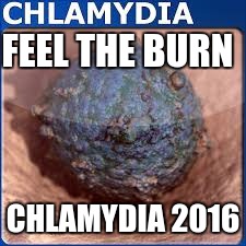 FEEL THE BURN; CHLAMYDIA 2016 | image tagged in burn 2016 | made w/ Imgflip meme maker