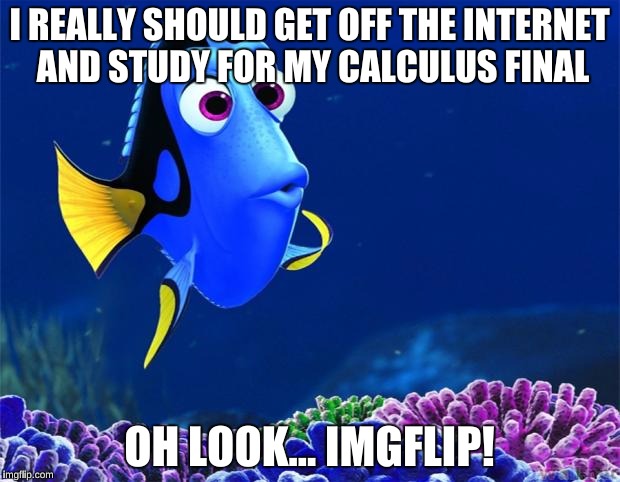 Good Luck on Finals Everybody!  | I REALLY SHOULD GET OFF THE INTERNET AND STUDY FOR MY CALCULUS FINAL; OH LOOK... IMGFLIP! | image tagged in dory,funny,lazy college senior,memes,finding nemo | made w/ Imgflip meme maker