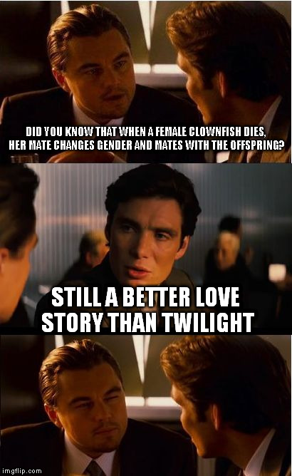 Love in the time of Clownfish | DID YOU KNOW THAT WHEN A FEMALE CLOWNFISH DIES, HER MATE CHANGES GENDER AND MATES WITH THE OFFSPRING? STILL A BETTER LOVE STORY THAN TWILIGHT | image tagged in memes,inception,still a better love story than twilight,clownfish,finding nemo | made w/ Imgflip meme maker