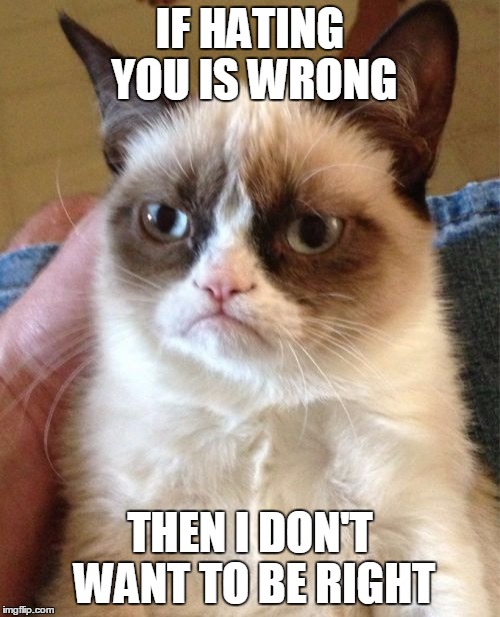 I don't want to never, never, never be right | IF HATING YOU IS WRONG; THEN I DON'T WANT TO BE RIGHT | image tagged in memes,grumpy cat,music,song lyrics | made w/ Imgflip meme maker