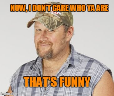 Larry The Cable Guy | NOW, I DON'T CARE WHO YA ARE; THAT'S FUNNY | image tagged in memes,larry the cable guy | made w/ Imgflip meme maker