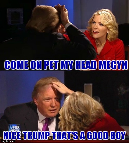 How in the world did this happen haha! | COME ON PET MY HEAD MEGYN; NICE TRUMP THAT'S A GOOD BOY | image tagged in donald trumph hair,megyn kelly essentially | made w/ Imgflip meme maker