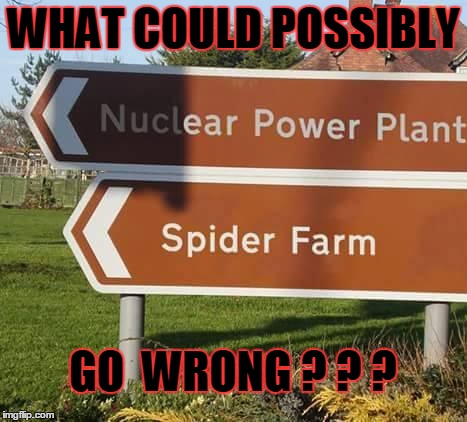 What could possibly go wrong? | WHAT COULD POSSIBLY; GO  WRONG ? ? ? | image tagged in nuke,spider,what could go wrong | made w/ Imgflip meme maker