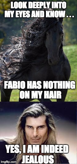 Fabio vs Horse | LOOK DEEPLY INTO MY EYES AND KNOW . . . FABIO HAS NOTHING ON MY HAIR; YES, I AM INDEED JEALOUS | image tagged in fabio,horse,jealous | made w/ Imgflip meme maker