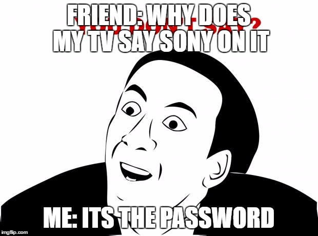 You Don't Say Meme | FRIEND: WHY DOES MY TV SAY SONY ON IT; ME: ITS THE PASSWORD | image tagged in memes,you don't say | made w/ Imgflip meme maker
