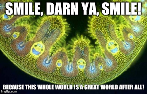 SMILE, DARN YA, SMILE! BECAUSE THIS WHOLE WORLD IS A GREAT WORLD AFTER ALL! | made w/ Imgflip meme maker