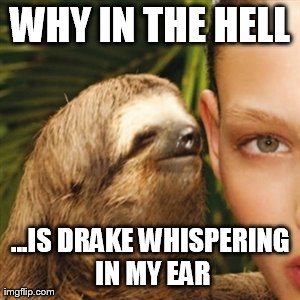 Whisper Sloth Meme | WHY IN THE HELL ...IS DRAKE WHISPERING IN MY EAR | image tagged in memes,whisper sloth | made w/ Imgflip meme maker