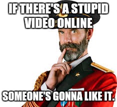 Hmm Captain Obvious  | IF THERE'S A STUPID VIDEO ONLINE SOMEONE'S GONNA LIKE IT. | image tagged in hmm captain obvious | made w/ Imgflip meme maker