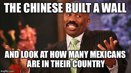 Steve Harvey Meme | THE CHINESE BUILT A WALL; AND LOOK AT HOW MANY MEXICANS ARE IN THEIR COUNTRY | image tagged in memes,steve harvey | made w/ Imgflip meme maker