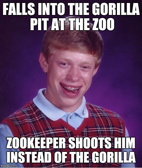Bad Luck Brian | FALLS INTO THE GORILLA PIT AT THE ZOO; ZOOKEEPER SHOOTS HIM INSTEAD OF THE GORILLA | image tagged in memes,bad luck brian | made w/ Imgflip meme maker