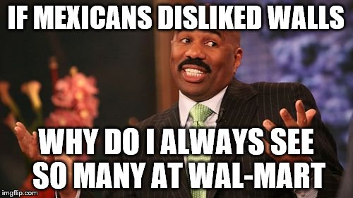 Steve Harvey Meme | IF MEXICANS DISLIKED WALLS WHY DO I ALWAYS SEE SO MANY AT WAL-MART | image tagged in memes,steve harvey | made w/ Imgflip meme maker