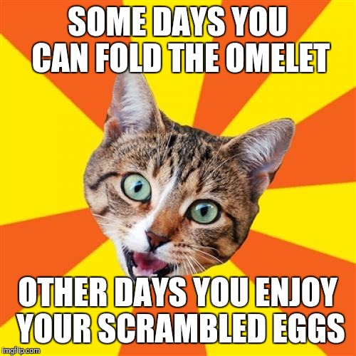 Serenity | SOME DAYS YOU CAN FOLD THE OMELET; OTHER DAYS YOU ENJOY YOUR SCRAMBLED EGGS | image tagged in memes,bad advice cat | made w/ Imgflip meme maker