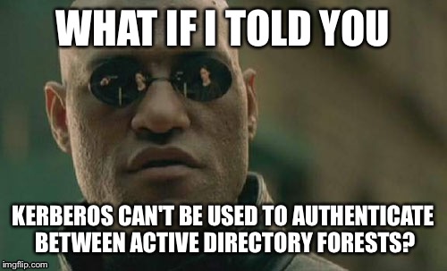 Matrix Morpheus Meme | WHAT IF I TOLD YOU; KERBEROS CAN'T BE USED TO AUTHENTICATE BETWEEN ACTIVE DIRECTORY FORESTS? | image tagged in memes,matrix morpheus | made w/ Imgflip meme maker