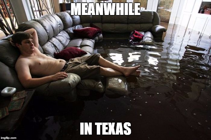 MEANWHILE; IN TEXAS | image tagged in meanwhile in | made w/ Imgflip meme maker