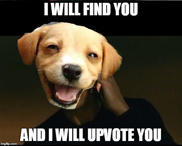 taken dog | I WILL FIND YOU AND I WILL UPVOTE YOU | image tagged in taken dog | made w/ Imgflip meme maker