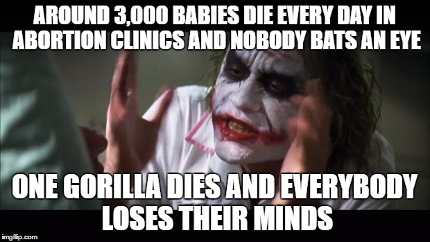 It is sad that that beautiful creature had to die, but honestly may be we should rethink our priorities...  | AROUND 3,000 BABIES DIE EVERY DAY IN ABORTION CLINICS AND NOBODY BATS AN EYE; ONE GORILLA DIES AND EVERYBODY LOSES THEIR MINDS | image tagged in memes,and everybody loses their minds,abortion | made w/ Imgflip meme maker