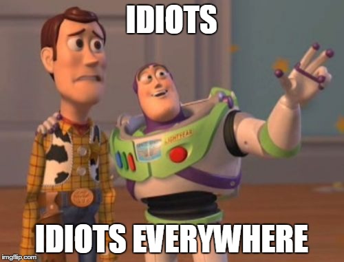IDIOTS IDIOTS EVERYWHERE | image tagged in memes,x x everywhere | made w/ Imgflip meme maker
