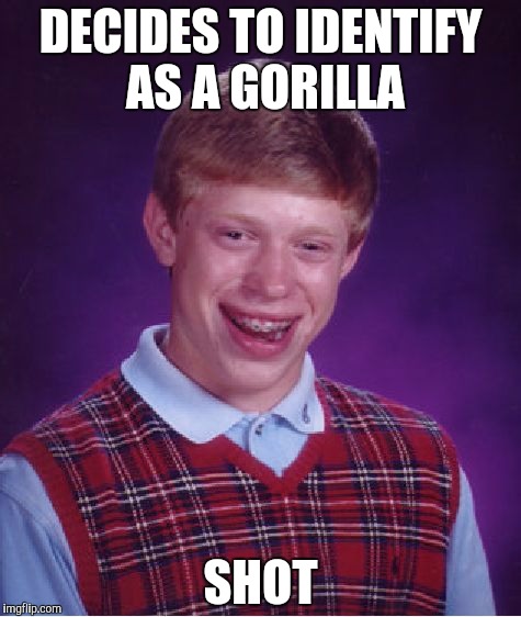 Bad Luck Brian | DECIDES TO IDENTIFY AS A GORILLA; SHOT | image tagged in memes,bad luck brian,gorilla | made w/ Imgflip meme maker