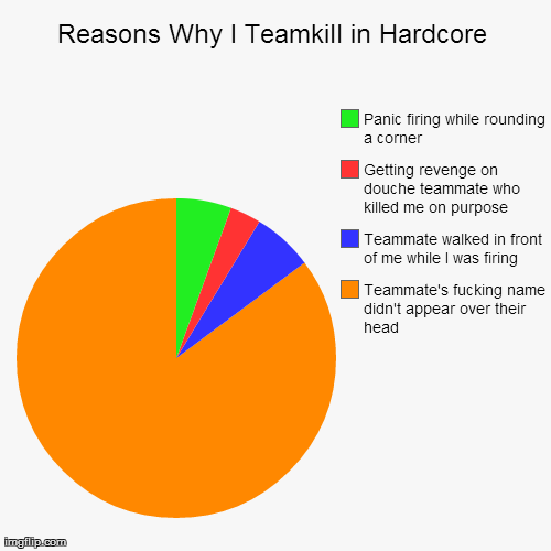 Reasons Why I Teamkill in Hardcore Teammate's f**king name didn't appear over their head Teammate walked in front of me while I was firing G | image tagged in funny,pie charts,blackops2 | made w/ Imgflip chart maker