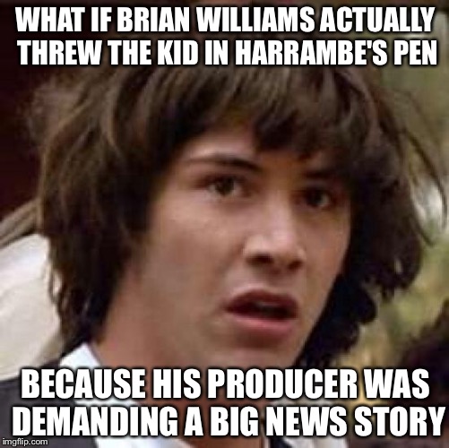 Conspiracy Keanu Meme | WHAT IF BRIAN WILLIAMS ACTUALLY THREW THE KID IN HARRAMBE'S PEN BECAUSE HIS PRODUCER WAS DEMANDING A BIG NEWS STORY | image tagged in memes,conspiracy keanu | made w/ Imgflip meme maker