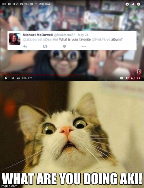My Reaction To the Latest #DearAki(Dearest) Video | WHAT ARE YOU DOING AKI! | image tagged in akidearest,scared cat,youtuber,anime,dearaki | made w/ Imgflip meme maker